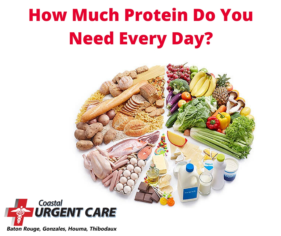 Nutrition pie chart, text reading "How Much Protein Do You Need Every Day"